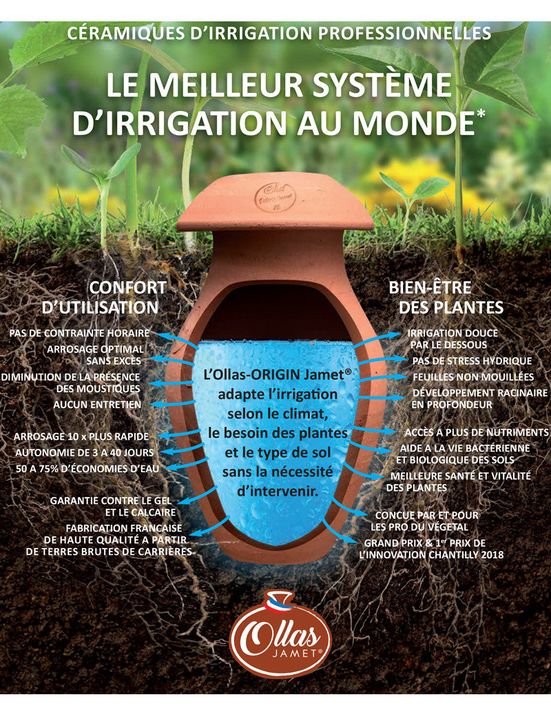 Ollas - Irrigation