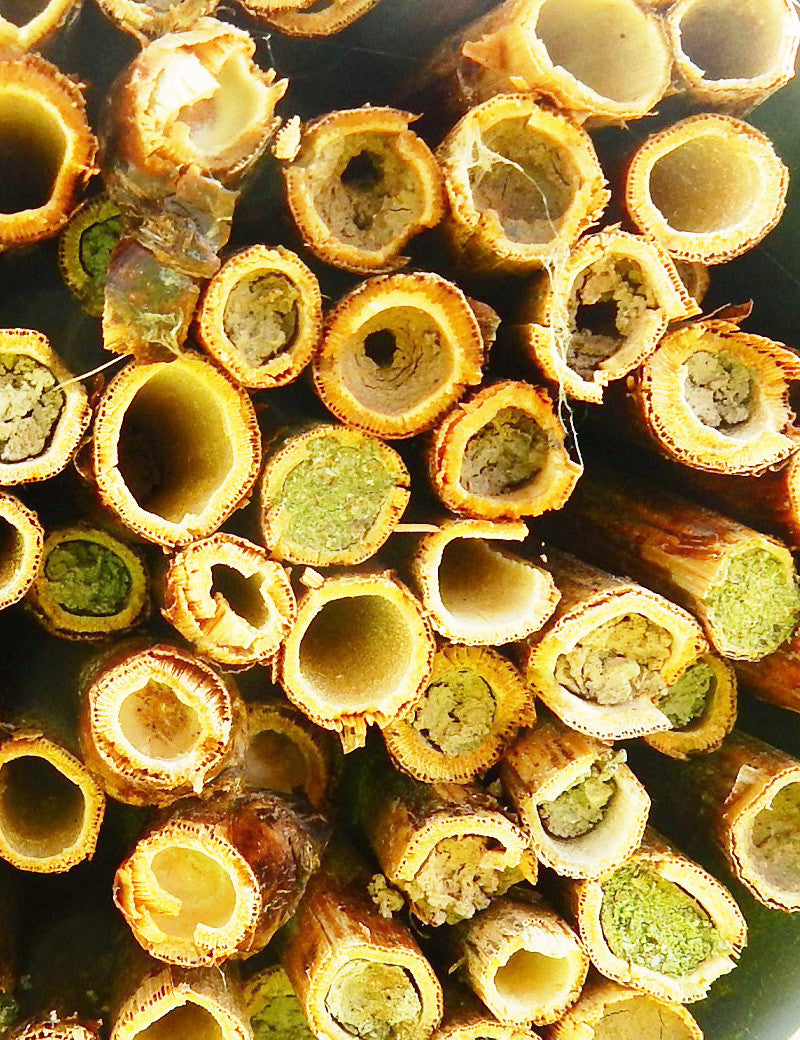 Tubes for wild bees - Refuge