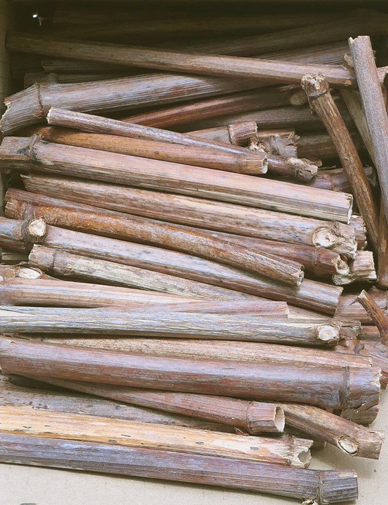 Tubes for wild bees - Refuge