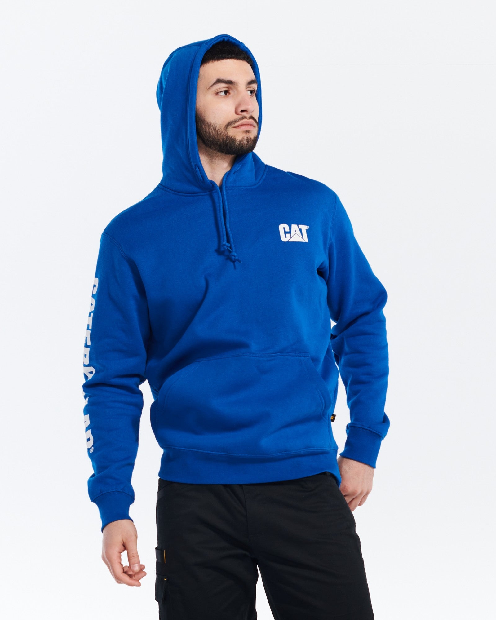 TRADEMARK BANNER SWEATSHIRT MEPHIS BLAU