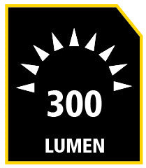 STANLEY ALUMINIUM-TASCHENLAMPE 300 LUMEN MIT FOKUS 