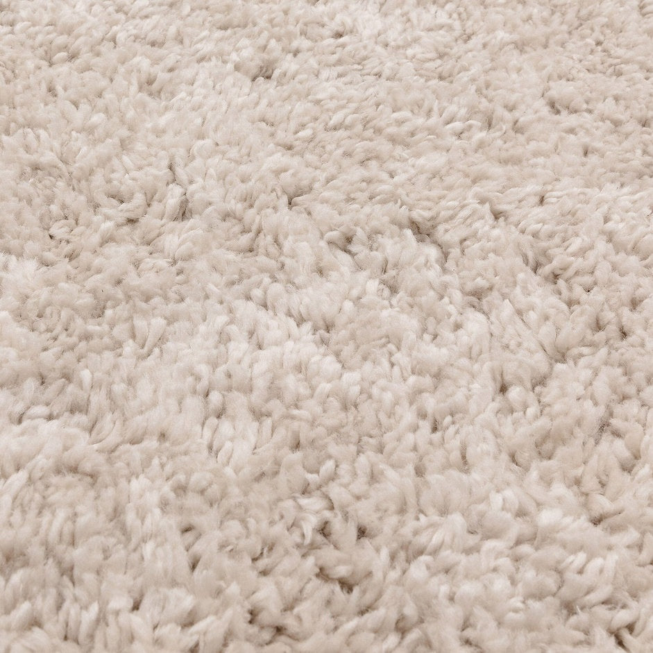 RICHY designer and shaggy living room rug