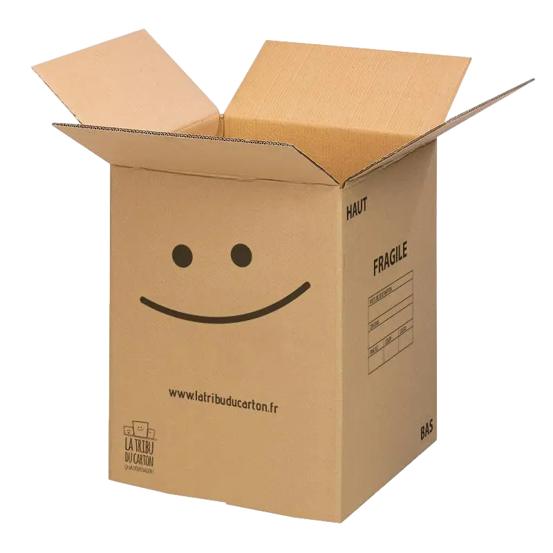 Grand carton ultra renforcé avec poignées clicktofournisseur.com