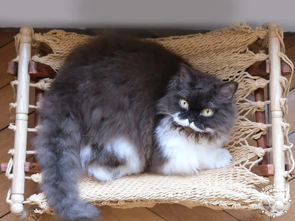 Taupe cat hammock + wooden support