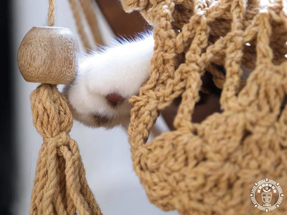 Taupe cat hammock + wooden support